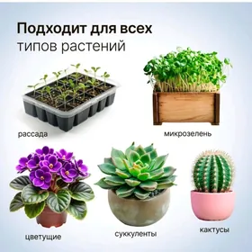 Fitolampa(Фитолампа)