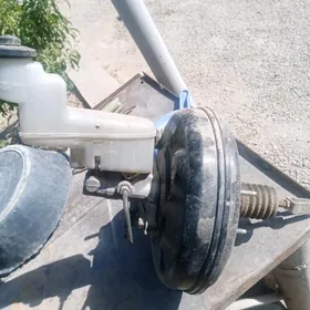 Wakum öküz kelle