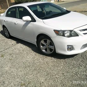 Toyota Corolla 2010