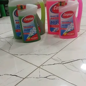 antfriz caspian