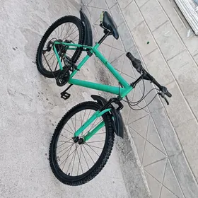 Tigir Turkmenistan