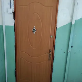 железная дверь