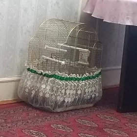 продам клетку
