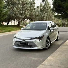 Toyota Corolla 2020
