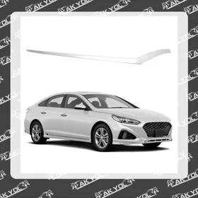 SONATA 18 NIKEL