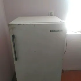 бирюса
