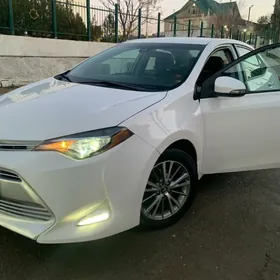 Toyota Corolla 2019