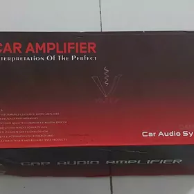 Car audio system D(class)