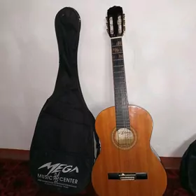 gitara
