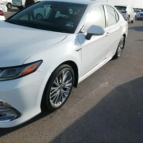 Toyota Camry 2020