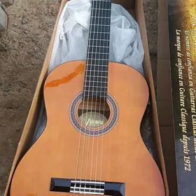 Valencia gitara
