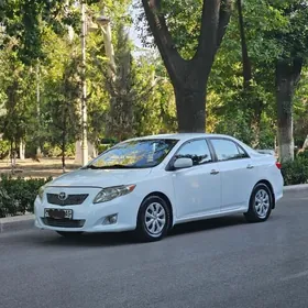 Toyota Corolla 2010