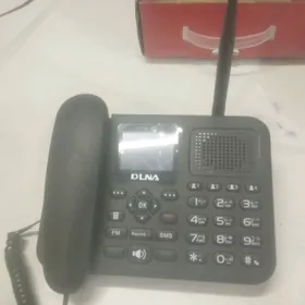 Dina