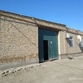 zaton daca