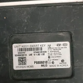 smart key immoblayzer