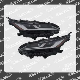 FARA VENZA 2023