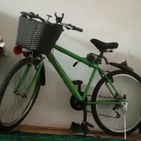 Turkmenistan wellik