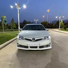 Toyota Camry 2013