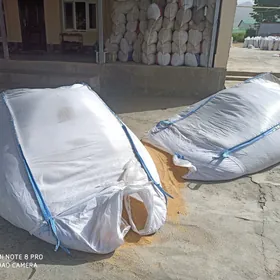 SARUN GOÝUN GEÇI ÖKÜZ SYGYR üN