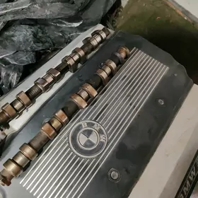 4.6 rastrval