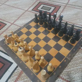 Шахматы СССР