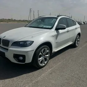 BMW X6 2010