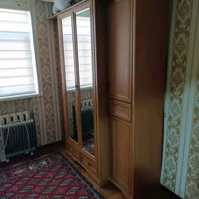 шфанер