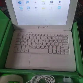 bilimli