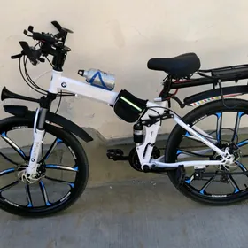 bmw tigir