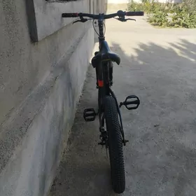 BMW tigir