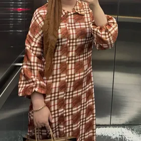 Lion koynek