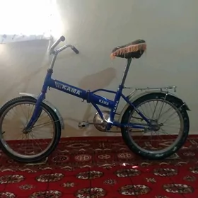 Kama tigir