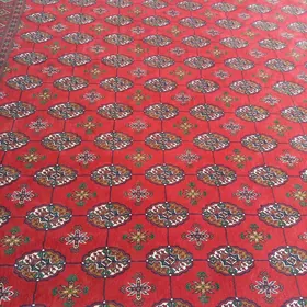 palata palatka haly abadan