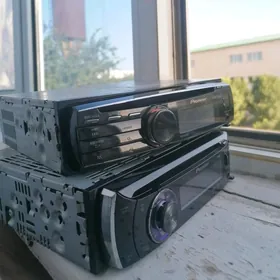 Pioneer dilfin