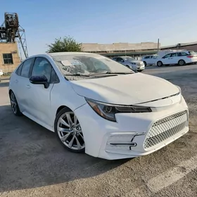 Toyota Corolla 2020