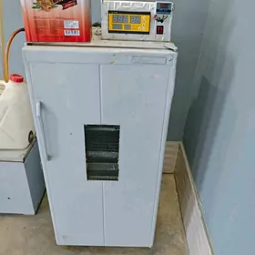 inkubator