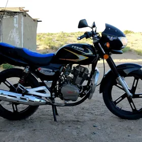 Fekon FK150-8G 2013