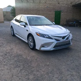 Toyota Camry 2020