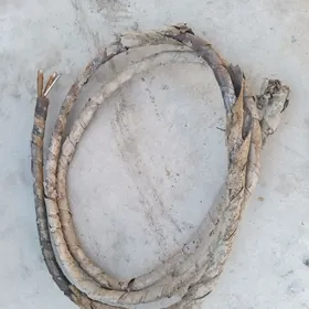 Kabel