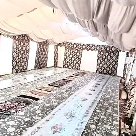 palata