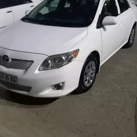 Toyota Corolla 2008
