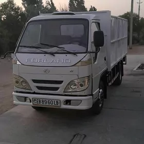 Forland H3 2008