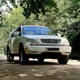 Lexus RX 300 2002