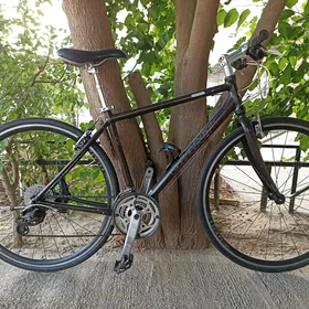 GIANT escape 28 hybrid