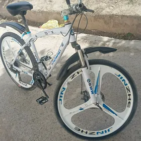 BMW Tigir