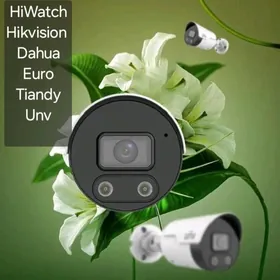 Hiwatch Hikvision Dahua Euro