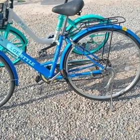 TIGIR YAPONISKI