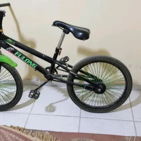 FULONG Tigir