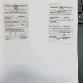 Dokument tehpasport