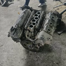 motor 3 sienna amerikanka vivi